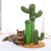 2242-m4gsb7.jpg Cactus Shaped Cat Scratching Post
