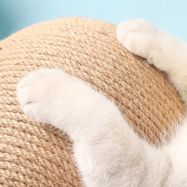 3136-w9cmdt.jpg Cat's Small Rotating Scratcher